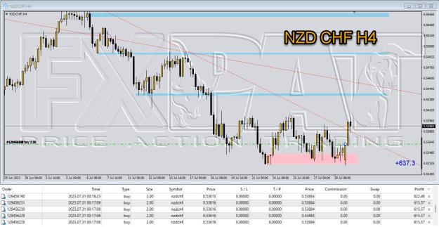 Click to Enlarge

Name: nzd chf 001.jpg
Size: 276 KB