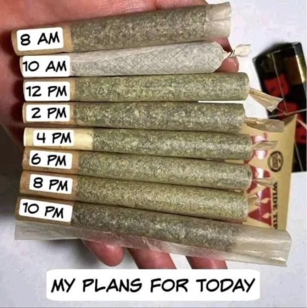 Click to Enlarge

Name: plan for today.jpg
Size: 92 KB