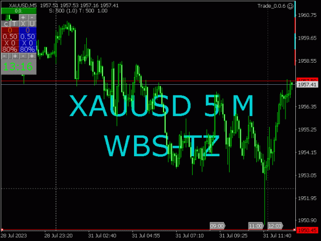 Click to Enlarge

Name: XAUUSD_2023-07-31_13-16-36_Trade_0.0.6_5 M.jpg
Size: 20 KB