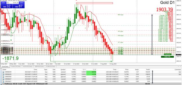 Click to Enlarge

Name: Entry Exit Indicator.jpg
Size: 782 KB