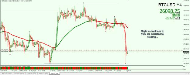 Click to Enlarge

Name: Entry Exit Indicator.jpg
Size: 345 KB