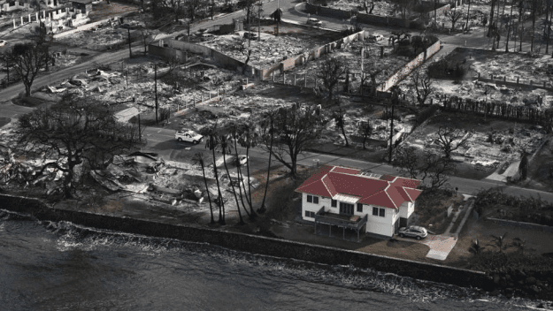 Click to Enlarge

Name: Maui fire.png
Size: 337 KB