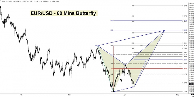 Click to Enlarge

Name: EUR - Butterfly.jpg
Size: 108 KB
