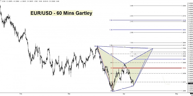 Click to Enlarge

Name: EUR - Gartley.jpg
Size: 105 KB