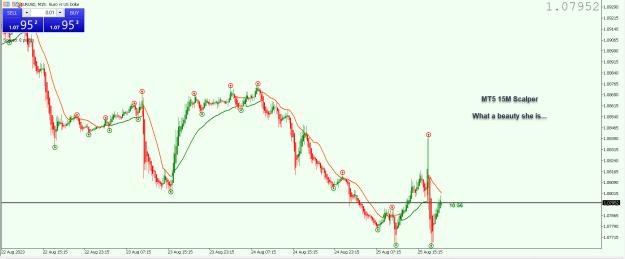 Click to Enlarge

Name: Entry Exit Indicator.jpg
Size: 224 KB