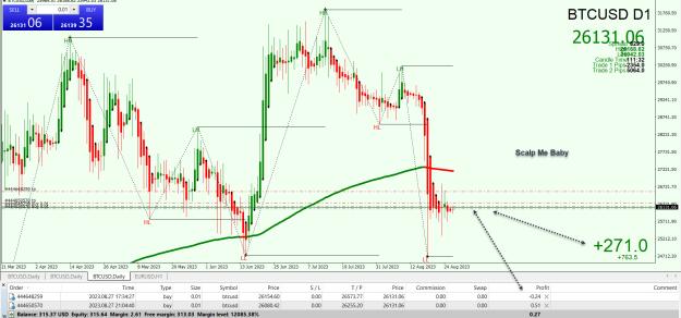 Click to Enlarge

Name: Entry Exit Indicator.jpg
Size: 445 KB