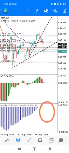 Click to Enlarge

Name: Screenshot_2023-08-29-14-29-10-213_net.metaquotes.metatrader4-edit.jpg
Size: 764 KB