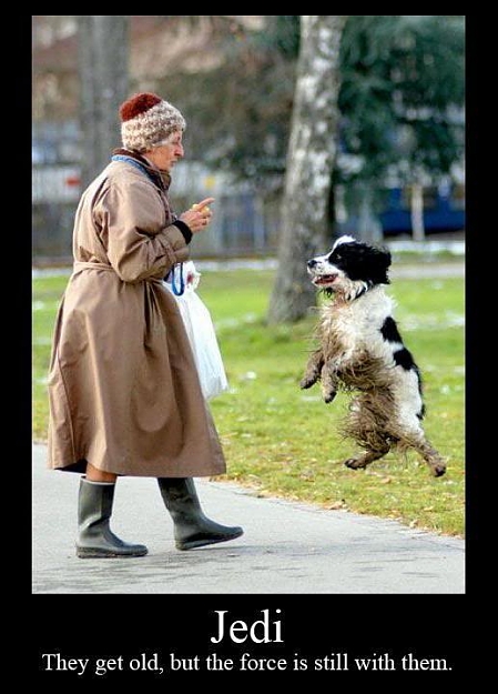 Click to Enlarge

Name: jedi.jpg
Size: 51 KB