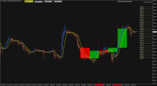 Click to Enlarge

Name: XAU Sep 01 M5 with HTF 1-9-2023 4-58-38 pm.png
Size: 28 KB
