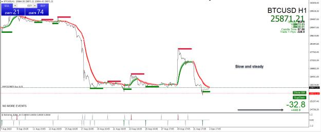 Click to Enlarge

Name: Entry Exit Indicator.jpg
Size: 263 KB