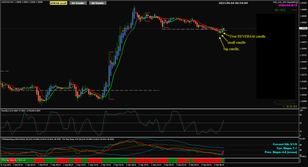 Click to Enlarge

Name: USDCAD Sep04 M15 FO hour 4-9-2023 2-54-12 pm.png
Size: 34 KB