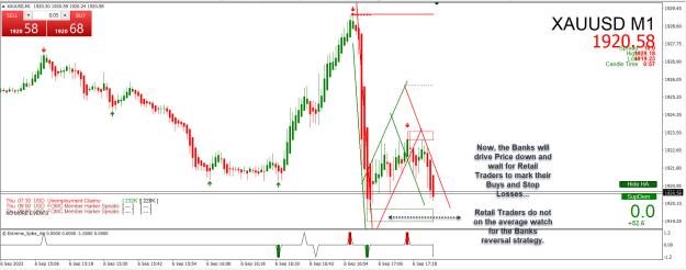 Click to Enlarge

Name: Entry Exit Indicator.jpg
Size: 303 KB