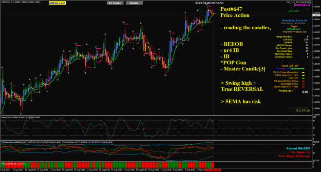 Click to Enlarge

Name: USDCAD Sep08 H4 #647 PriceA8-9-2023 1-06-57 pm.png
Size: 51 KB