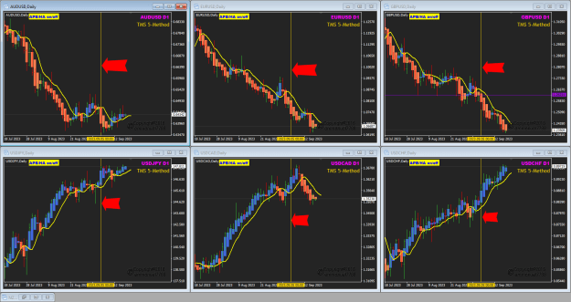 Click to Enlarge

Name: USDMajors Sep05 move18-9-2023 6-28-15 am.png
Size: 46 KB