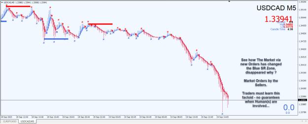 Click to Enlarge

Name: Entry Exit Indicator.jpg
Size: 242 KB