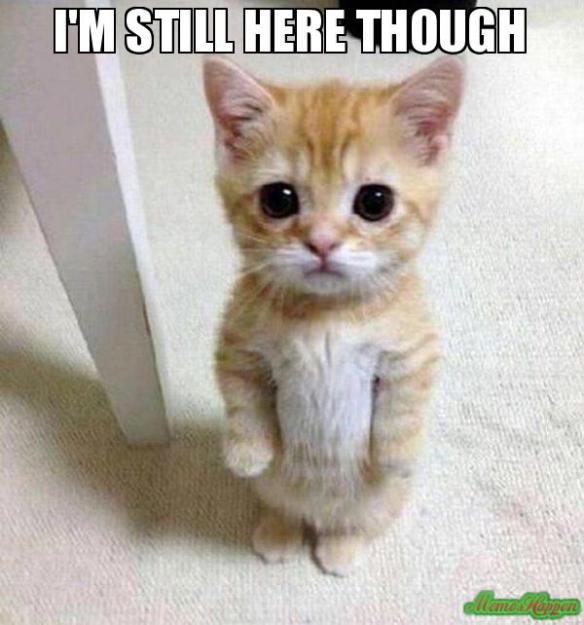 Click to Enlarge

Name: Im-still-here-though-.jpg
Size: 54 KB