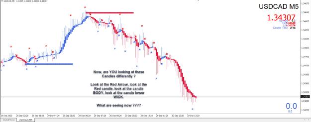 Click to Enlarge

Name: Entry Exit Indicator.jpg
Size: 242 KB
