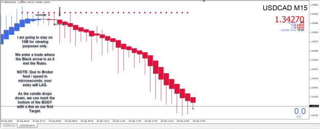 Click to Enlarge

Name: Entry Exit Indicator.jpg
Size: 221 KB