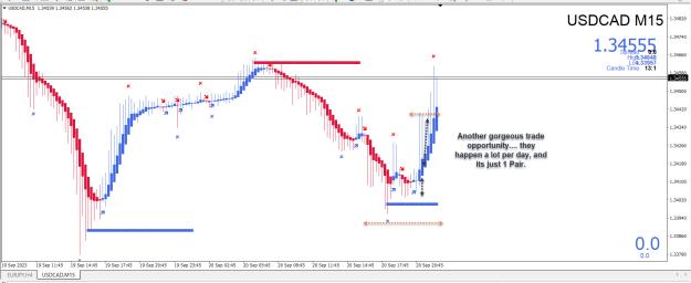 Click to Enlarge

Name: Entry Exit Indicator.jpg
Size: 249 KB