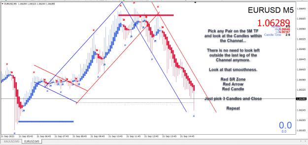 Click to Enlarge

Name: Entry Exit Indicator.jpg
Size: 298 KB
