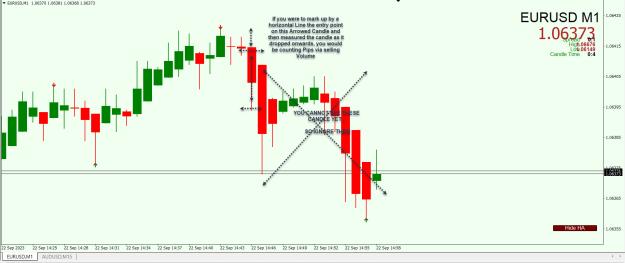 Click to Enlarge

Name: Entry Exit Indicator.jpg
Size: 213 KB