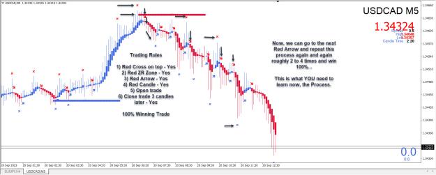 Click to Enlarge

Name: Entry Exit Indicator.jpg
Size: 280 KB