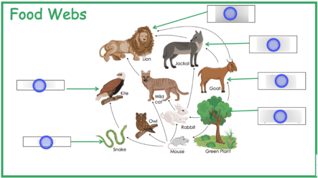 Click to Enlarge

Name: 14.png
Size: 53 KB