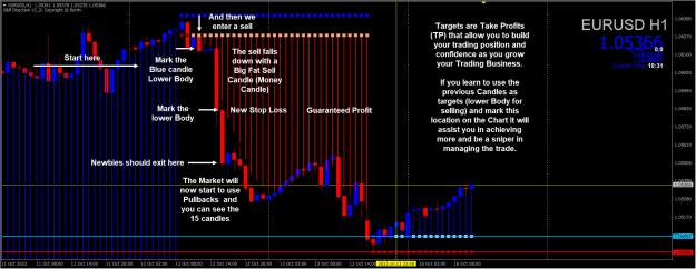 Click to Enlarge

Name: Entry Exit Indicator.jpg
Size: 395 KB
