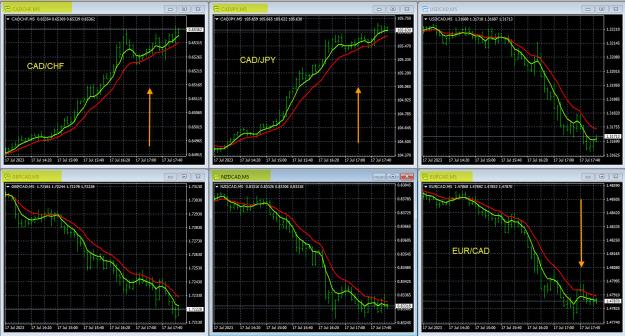 Click to Enlarge

Name: same-time-frame-multiple-pairs.jpg
Size: 601 KB