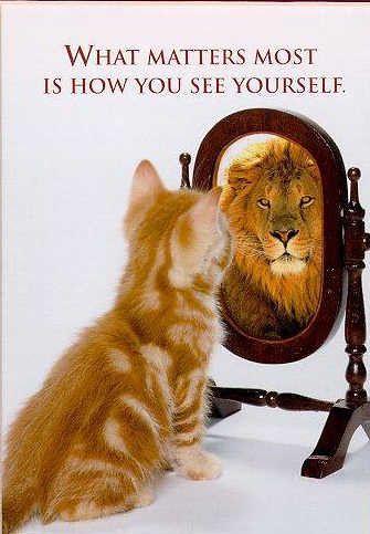 Click to Enlarge

Name: funny-cat-picture-cute-kitty-pic-kitten-looking-in-mirror-seeing-a-lion.jpg
Size: 27 KB