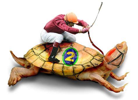 Click to Enlarge

Name: tahteds.jpg
Size: 25 KB