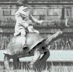 Click to Enlarge

Name: faefdsf.gif
Size: 297 KB