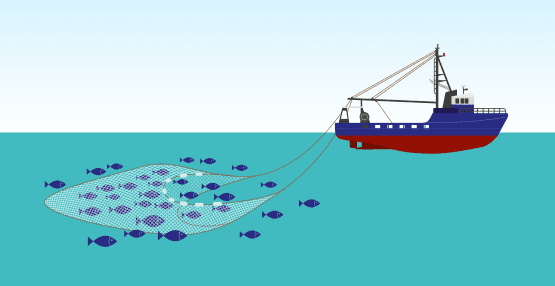 Click to Enlarge

Name: fishing trawling and whale hunting.png
Size: 13 KB