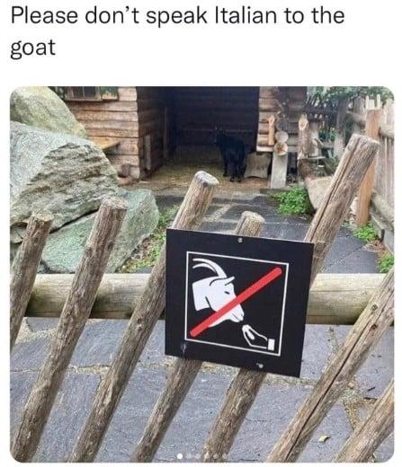 Click to Enlarge

Name: please-dont-speak-italian-to-the-goats.jpg
Size: 51 KB
