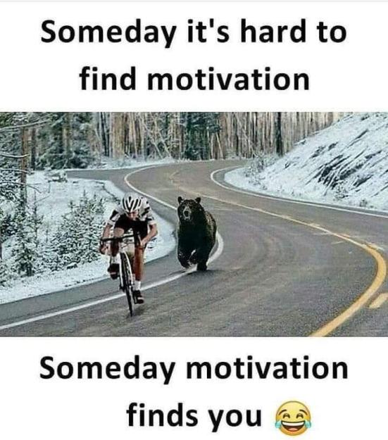 Click to Enlarge

Name: FB_IMG_1702368624995.jpg
Size: 69 KB