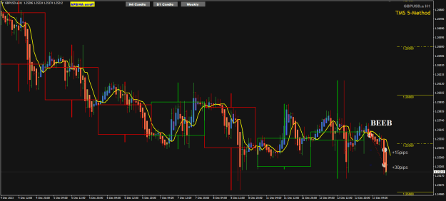 Click to Enlarge

Name: Gu Dec13 H1 trades closed 13-12-2023 4-01-48 pm.png
Size: 23 KB