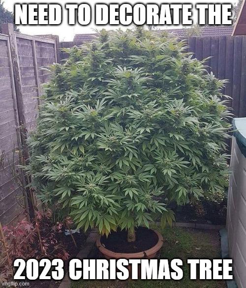 Click to Enlarge

Name: 2023 christmas tree.jpg
Size: 130 KB