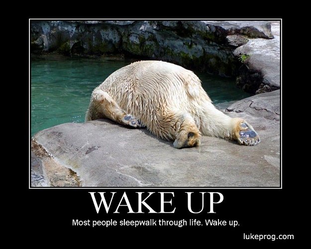 Click to Enlarge

Name: 93-Wake Up.jpg
Size: 238 KB