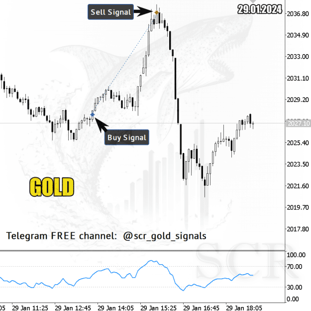 Click to Enlarge

Name: GOLD_signals TELEGRAM.png
Size: 151 KB