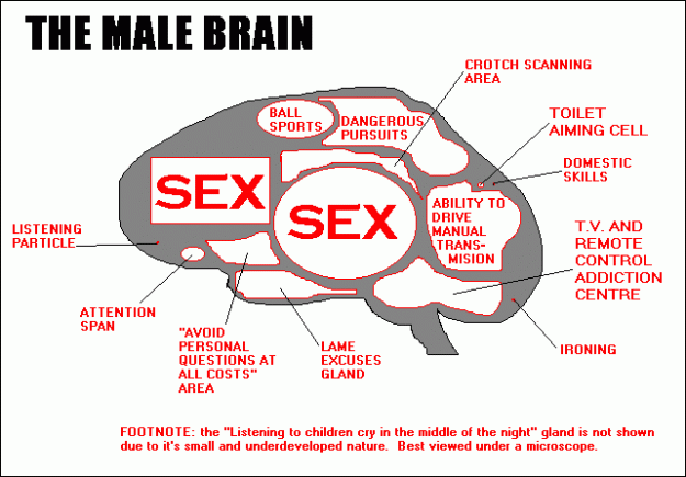 Click to Enlarge

Name: funny_sex_male_brain.gif
Size: 11 KB