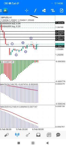 Click to Enlarge

Name: Screenshot_2024-02-06-14-50-15-150_net.metaquotes.metatrader4.jpg
Size: 686 KB