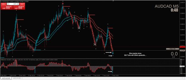 Click to Enlarge

Name: Trades.jpg
Size: 394 KB
