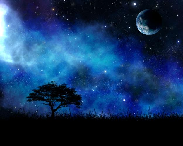 Click to Enlarge

Name: Night-with-tree-against-space-sky.jpg
Size: 1,023 KB
