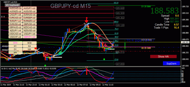 Click to Enlarge

Name: GBPJPY-cd(M15)_2024.03.12_191003.gif
Size: 48 KB