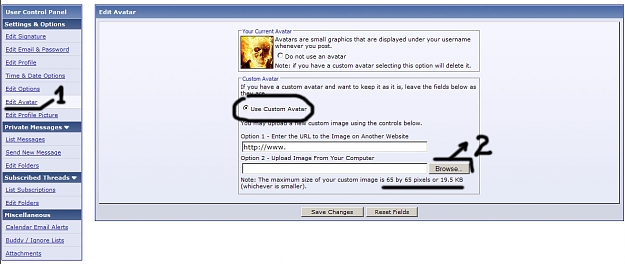 Click to Enlarge

Name: pic.jpg
Size: 159 KB
