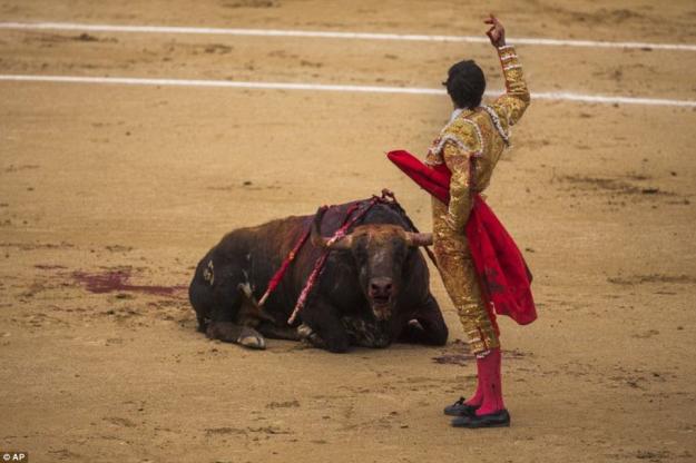 Click to Enlarge

Name: 1400683592138_wps_Spanish_bullfighter_Jimen.jpg
Size: 108 KB