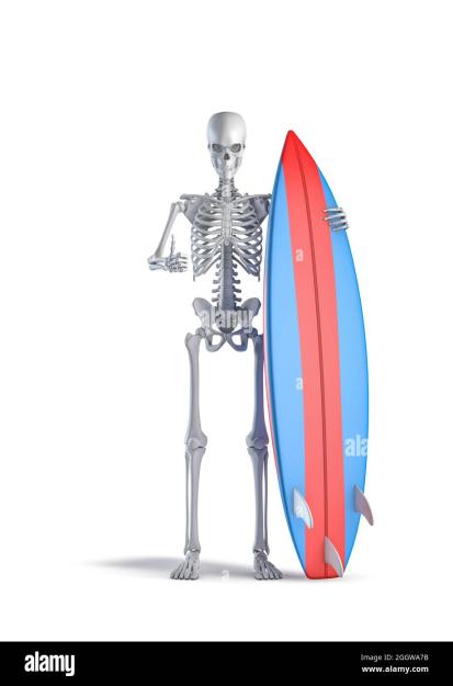 Click to Enlarge

Name: skeleton-with-surfboard-3d-illustration-of-male-human-skeleton-surfer-figure-giving-thumbs-up-hand-s
Size: 51 KB