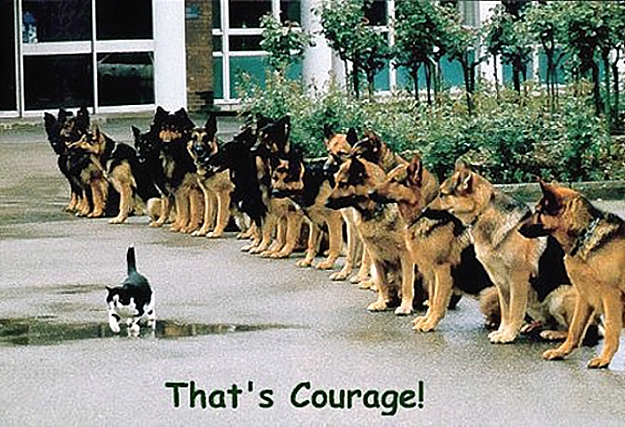 Click to Enlarge

Name: courage.jpg
Size: 200 KB