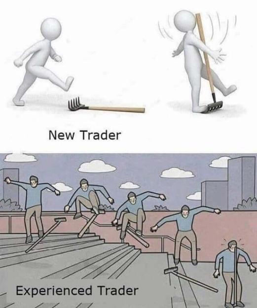 Click to Enlarge

Name: new-trader-vs-old-trader-meme.jpg
Size: 43 KB