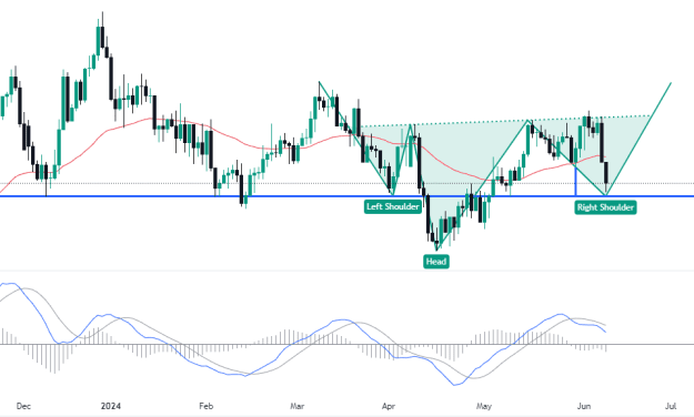 Click to Enlarge

Name: EURUSD_2024-06-10_04-55-57.png
Size: 40 KB